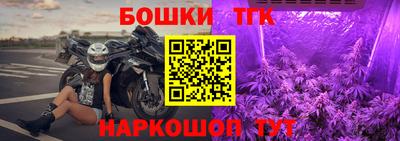 шишки Обнинск