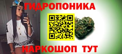 шишки Обнинск