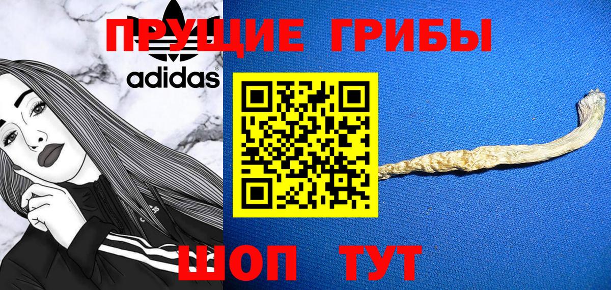 Тихорецк  Псилоцибиновые грибы ЛСД  хочу   Вход с VPN 